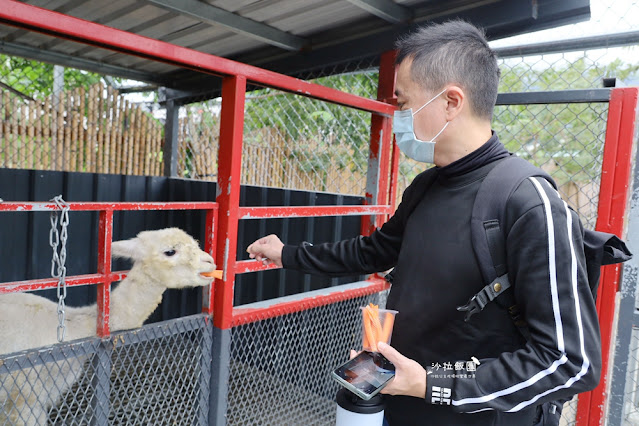 花蓮日式庭園景觀『張家的樹園』餵動物梅花鹿、草泥馬 45 花蓮日式庭園景觀『張家的樹園』餵動物梅花鹿、草泥馬
