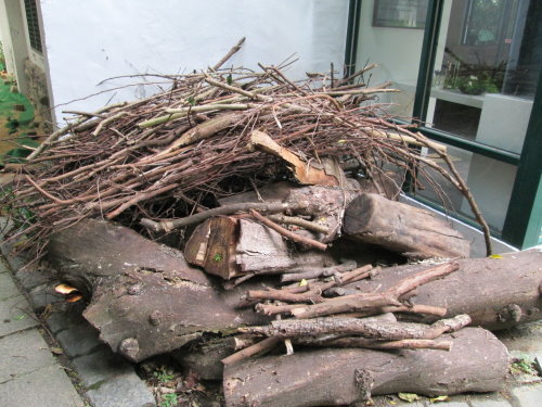 芝山文化生態綠園【士林】 13 芝山文化生態綠園【士林】