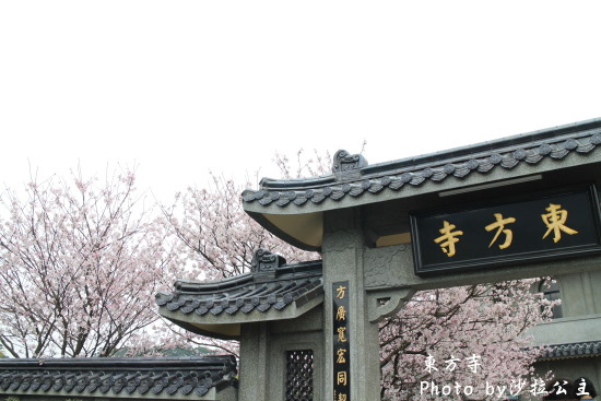 IMG_7025.jpg IMG_7025.jpg