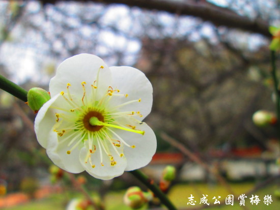 IMG_5683.jpg IMG_5683.jpg