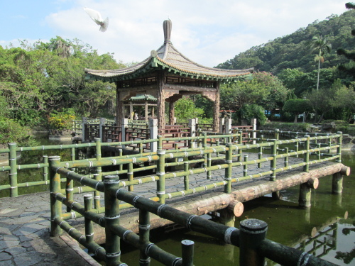 IMG_3137.jpg IMG_3137.jpg