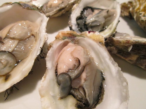 台北‧內湖「香樹花園酒店」中西式自助百匯吃到飽/buffet/近美麗華 3 台北‧內湖「香樹花園酒店」中西式自助百匯吃到飽/buffet/近美麗華