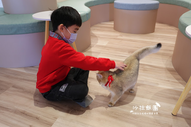 台北擼貓咖啡甜點『擼LALA Sweets松菸店』療癒系超萌小貓 17 台北擼貓咖啡甜點『擼LALA Sweets松菸店』療癒系超萌小貓