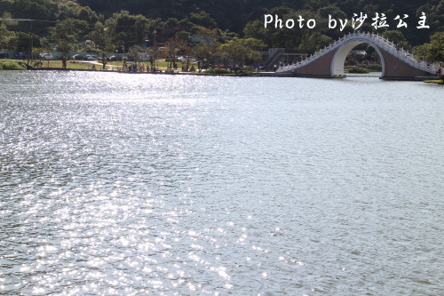 IMG_4563.jpg IMG_4563.jpg