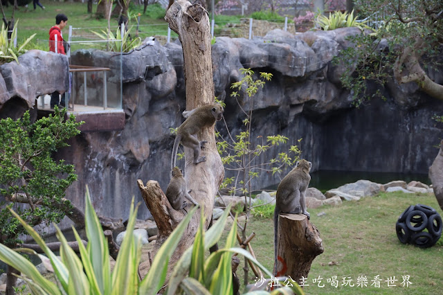 全台最老動物園『新竹動物園』全新打造沒有籠子友善動物園/新竹景點 24 全台最老動物園『新竹動物園』全新打造沒有籠子友善動物園/新竹景點
