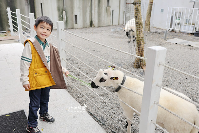 『黑RURU CAFE』最新熊貓羊、笑笑羊互動宜蘭咖啡、宜蘭景點 39 『黑RURU CAFE』最新熊貓羊、笑笑羊互動宜蘭咖啡、宜蘭景點