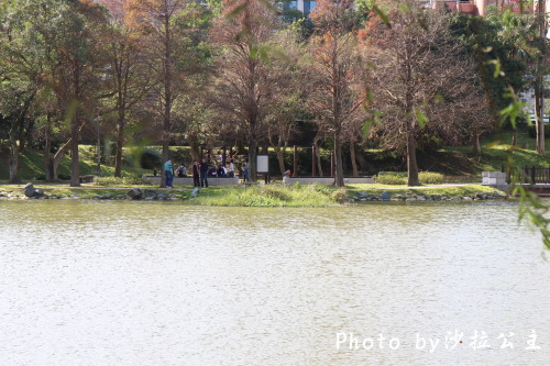 IMG_4551.jpg IMG_4551.jpg