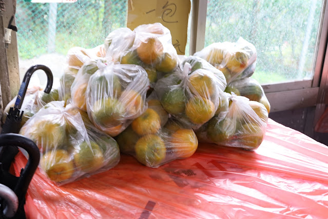 竹子湖土雞推薦平日下雨都要排隊『青菜園』 19 竹子湖土雞推薦平日下雨都要排隊『青菜園』