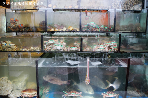 IMG_3465.JPG IMG_3465.JPG