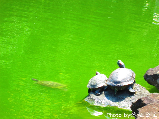 IMG_7070.jpg IMG_7070.jpg