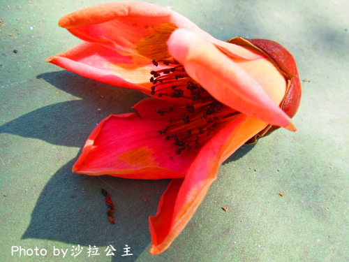 IMG_7086.jpg IMG_7086.jpg