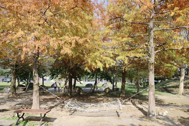 頭城景點頭城最新特色公園『頭城運動公園』宜蘭最美的共融公園、落羽松 6 頭城景點頭城最新特色公園『頭城運動公園』宜蘭最美的共融公園、落羽松