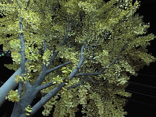 韓國之旅第一天---清溪川→東大門綜合市場 3 韓國之旅第一天---清溪川→東大門綜合市場