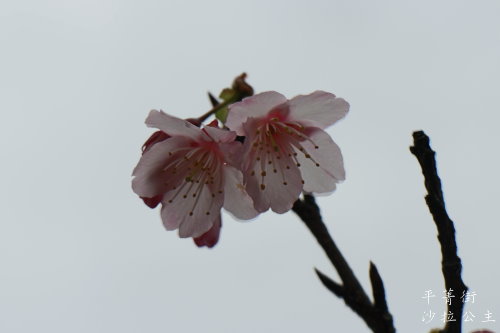 IMG_4022.JPG IMG_4022.JPG