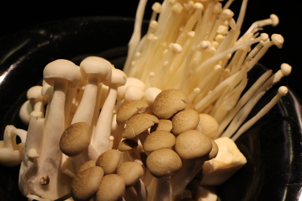 這一鍋皇室祕藏鍋物(吉林殿):這一鍋皇室祕藏鍋物(吉林殿)越熱越要開鍋 這一鍋皇室祕藏鍋物(吉林殿):這一鍋皇室祕藏鍋物(吉林殿)越熱越要開鍋