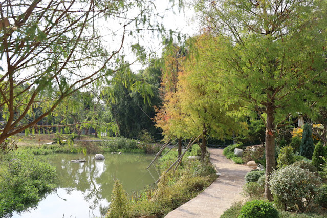 苗栗苑裡景點『綠意山莊』150元拍到翻、哈比村、粉紅城堡、露營、小木屋 27 苗栗苑裡景點『綠意山莊』150元拍到翻、哈比村、粉紅城堡、露營、小木屋