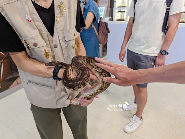 嘉義親子景點『新嘉大昆蟲館』全球唯一旋轉彩蝶柱、蝴蝶溫室花園 37 嘉義親子景點『新嘉大昆蟲館』全球唯一旋轉彩蝶柱、蝴蝶溫室花園