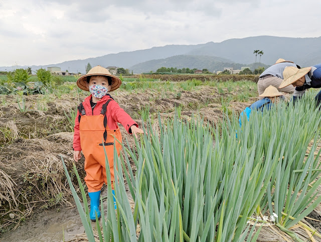 宜蘭親子景點『初咪體驗農場』拔三星蔥、、抓泥鰍、DIY創意蔥麵包體驗、沙坑 14 宜蘭親子景點『初咪體驗農場』拔三星蔥、、抓泥鰍、DIY創意蔥麵包體驗、沙坑