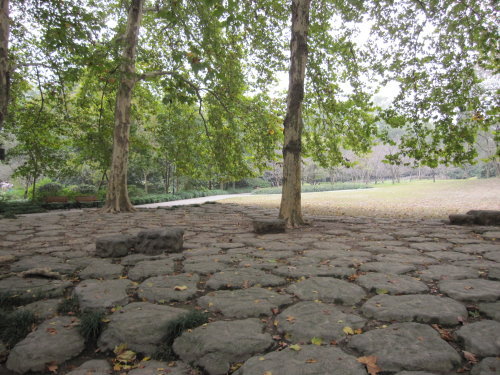 花港觀魚【杭州】 10 花港觀魚【杭州】