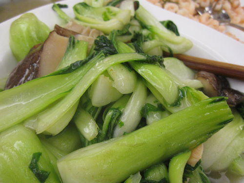 杭州西湖畔樓外樓 17 杭州西湖畔樓外樓