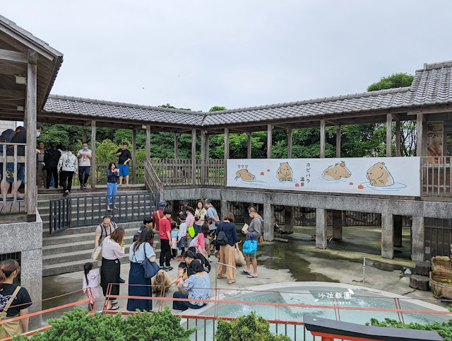 互動綠舞最新萌寵梅花鹿、品嚐無菜單料理、體驗大正文青袴和洋浪漫 57 互動綠舞最新萌寵梅花鹿、品嚐無菜單料理、體驗大正文青袴和洋浪漫