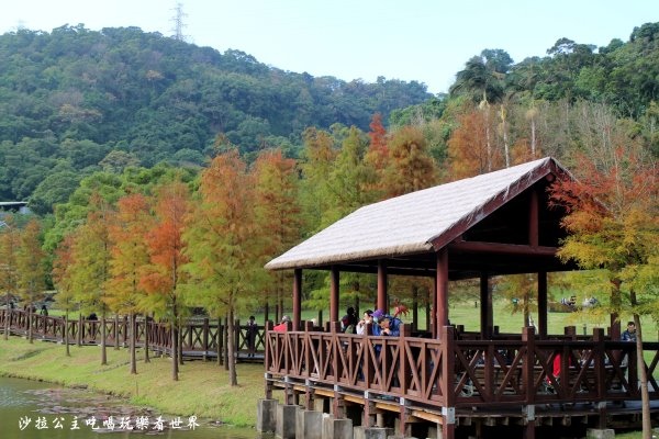 IMG_2764.JPG IMG_2764.JPG