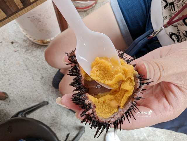 龜吼漁夫市集現剖現吃海膽好鮮甜 19 龜吼漁夫市集現剖現吃海膽好鮮甜