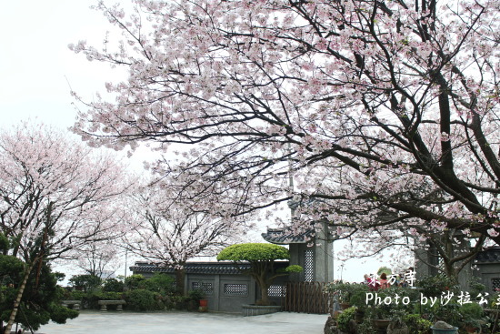 IMG_7041.jpg IMG_7041.jpg