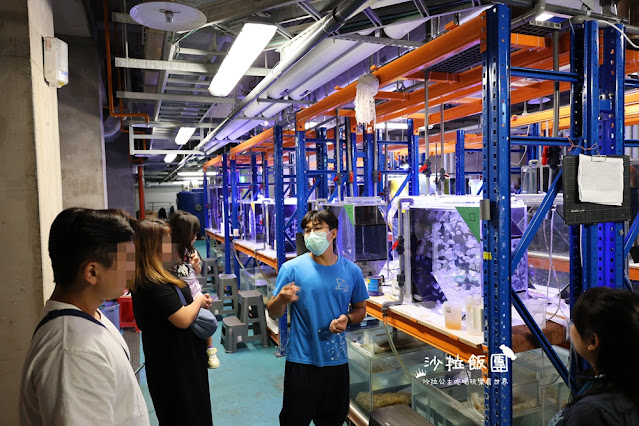 全台最頂級夜宿水族館!桃園和逸Blu Night宿海奇遇》Xpark住一晚 107 全台最頂級夜宿水族館!桃園和逸Blu Night宿海奇遇》Xpark住一晚