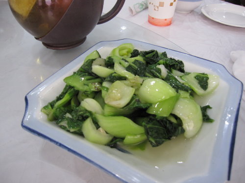 【江南遊】蘇州博物館&烏鎮午餐 10 【江南遊】蘇州博物館&烏鎮午餐