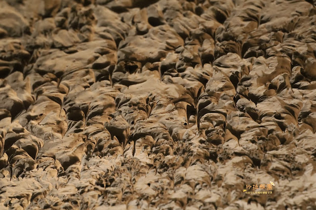 東密道50年來首次開放『圓山大飯店』國宴文化饗宴品嘗元首餐/享受元首待遇 10 東密道50年來首次開放『圓山大飯店』國宴文化饗宴品嘗元首餐/享受元首待遇