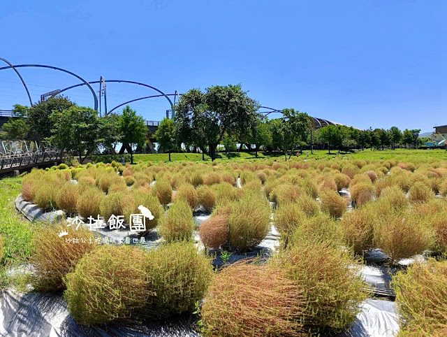 冬山景點波波草正美,療癒抹茶小丸子,電動小船遊舊河道 8 冬山景點波波草正美,療癒抹茶小丸子,電動小船遊舊河道
