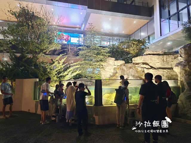 全台最頂級夜宿水族館!桃園和逸Blu Night宿海奇遇》Xpark住一晚 62 全台最頂級夜宿水族館!桃園和逸Blu Night宿海奇遇》Xpark住一晚