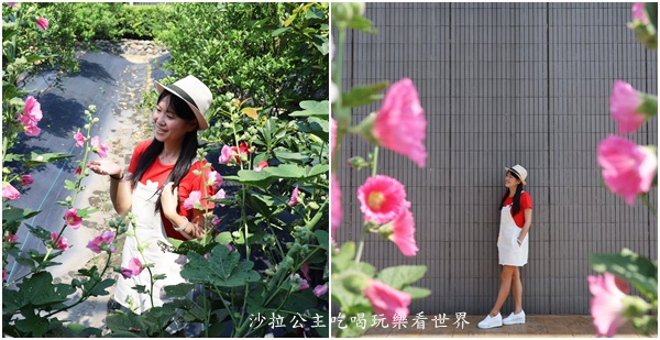 2500坪超狂親子民宿『親水89饗樂民宿』餵浣熊.溜羊.餵魚.餵兔子/大型磨石子溜滑梯/特斯拉充電站/有電梯 56 2500坪超狂親子民宿『親水89饗樂民宿』餵浣熊.溜羊.餵魚.餵兔子/大型磨石子溜滑梯/特斯拉充電站/有電梯