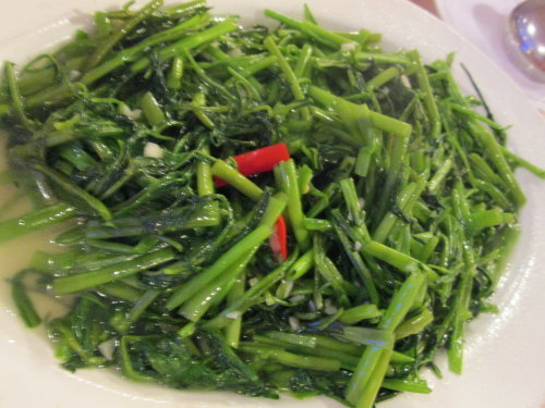 我們到澎湖去~澎湖龍星海鮮餐廳 16 我們到澎湖去~澎湖龍星海鮮餐廳