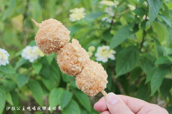 天母人氣美食『維縈家鄉碳烤雞排』士林夜市排隊小吃/天母市集對面 14 天母人氣美食『維縈家鄉碳烤雞排』士林夜市排隊小吃/天母市集對面