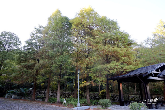 南港人的小秘境『麗山農民廣場-麗山公園』落羽松、雙心跳石 4 南港人的小秘境『麗山農民廣場-麗山公園』落羽松、雙心跳石