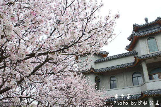 IMG_7029.jpg IMG_7029.jpg