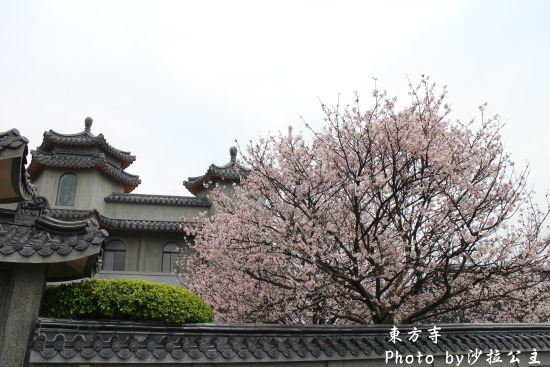 IMG_7026.jpg IMG_7026.jpg