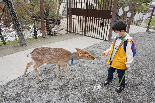 暑假照樣玩翻天、不加價！宜蘭最美親子飯店「綠舞」春夏旅展限時開搶，最低 37 折！早鳥訂房再加碼