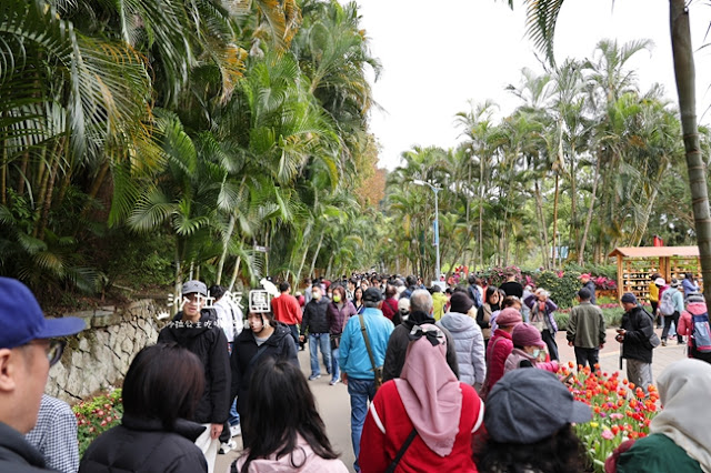 2025士林官邸鬱金香展-愛的遇藝13萬株來自荷蘭和日本鬱金香 11 2025士林官邸鬱金香展-愛的遇藝13萬株來自荷蘭和日本鬱金香