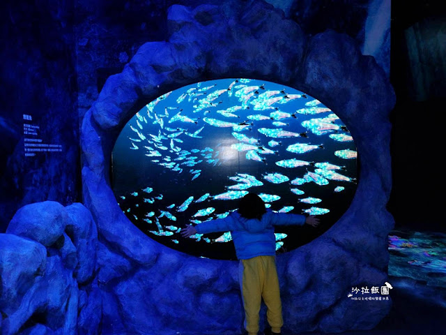 超震撼‼️最強展覽光之影海洋展體驗被海水包圍360°沉浸式光影藝術 22 超震撼‼️最強展覽光之影海洋展體驗被海水包圍360°沉浸式光影藝術