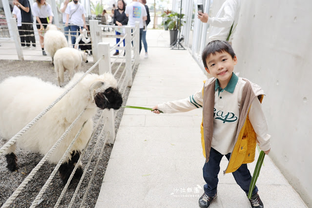 『黑RURU CAFE』最新熊貓羊、笑笑羊互動宜蘭咖啡、宜蘭景點 36 『黑RURU CAFE』最新熊貓羊、笑笑羊互動宜蘭咖啡、宜蘭景點