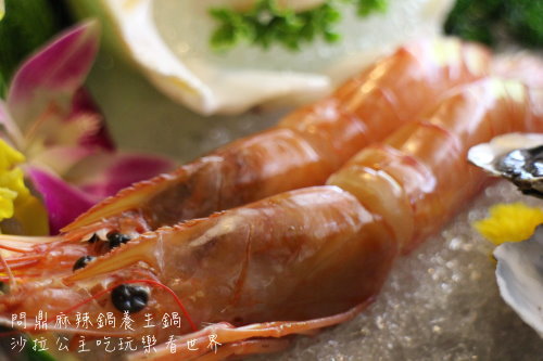 IMG_4333.JPG IMG_4333.JPG