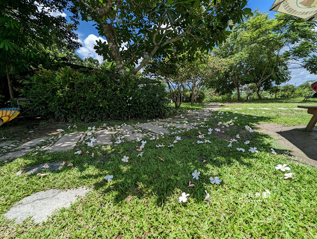 嘉義親子景點『新嘉大昆蟲館』全球唯一旋轉彩蝶柱、蝴蝶溫室花園 8 嘉義親子景點『新嘉大昆蟲館』全球唯一旋轉彩蝶柱、蝴蝶溫室花園