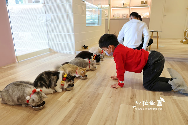 台北擼貓咖啡甜點『擼LALA Sweets松菸店』療癒系超萌小貓 27 台北擼貓咖啡甜點『擼LALA Sweets松菸店』療癒系超萌小貓