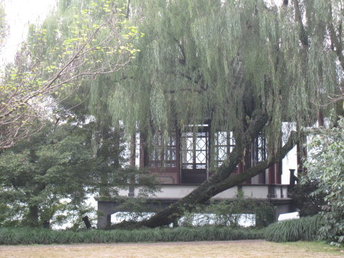 花港觀魚【杭州】 11 花港觀魚【杭州】