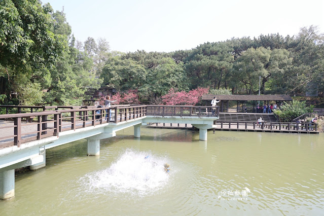 新竹景點『新竹公園』新竹人約會勝地,親子同遊 6 新竹景點『新竹公園』新竹人約會勝地,親子同遊