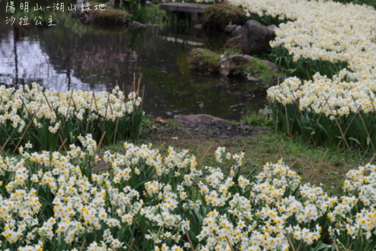 IMG_6567.JPG IMG_6567.JPG