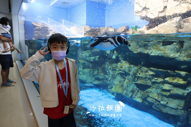 全台最頂級夜宿水族館!桃園和逸Blu Night宿海奇遇》Xpark住一晚 65 全台最頂級夜宿水族館!桃園和逸Blu Night宿海奇遇》Xpark住一晚